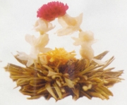 blooming tea