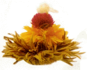 Flowering Tea